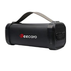 تصویر اسپیکر بیکارو Beecaro مدل F62S